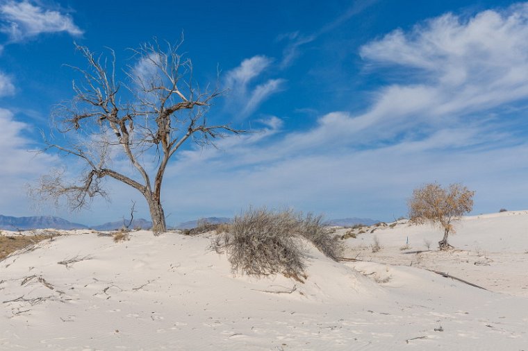 024 White Sands NM.jpg